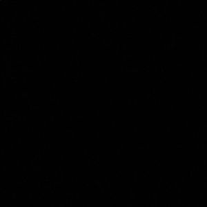 Meet your Posher, Mylon